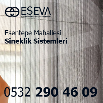 Esentepe Mahallesi Sineklik